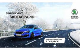 Надежный друг – SKODA RAPID!