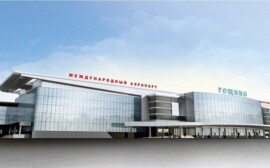 В тюменском аэропорту сожгли более 200 килограммов зелени