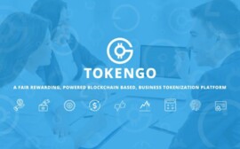 Возможности блокчейн-платформы TokenGO