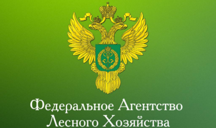 РОСЛЕСХОЗ: Мораторий на проверки бизнеса продлен на 2023 год