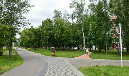 В Тюмени бизнесмены помогают формировать зеленый каркас города
