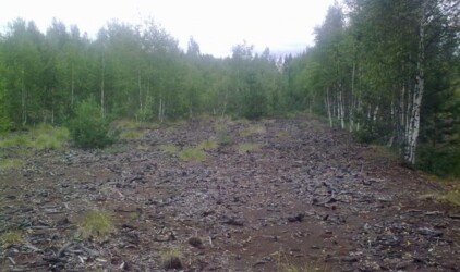 Тюменский АПК осваивает торфяные болота