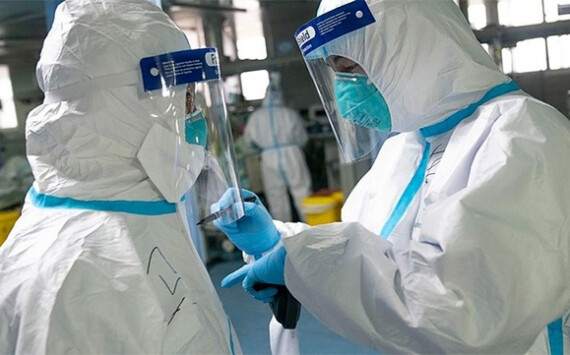 Тюменские исследователи из X-BIO занялись разработкой системы обработки статистики о коронавирусе