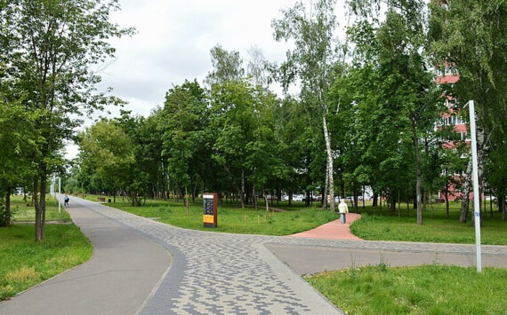 В Тюмени бизнесмены помогают формировать зеленый каркас города