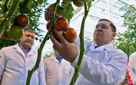 Наримановская теплица расширила ассортимент 