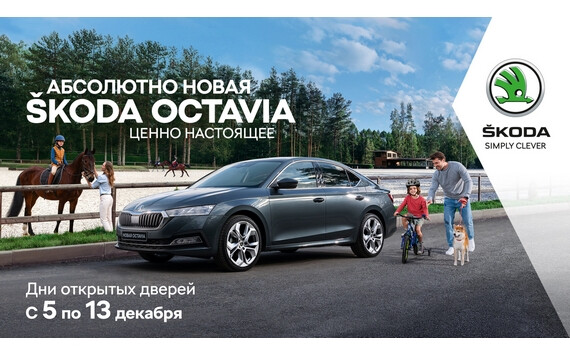 Дни открытых дверей у официального дилера Skoda «Дина Плюс»!