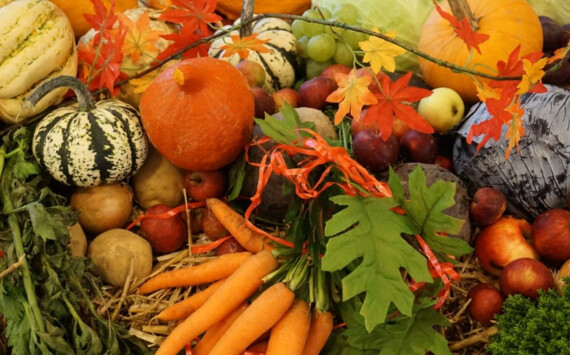 В Тюменской области бизнес нарастил выпуск важнейших продуктов питания