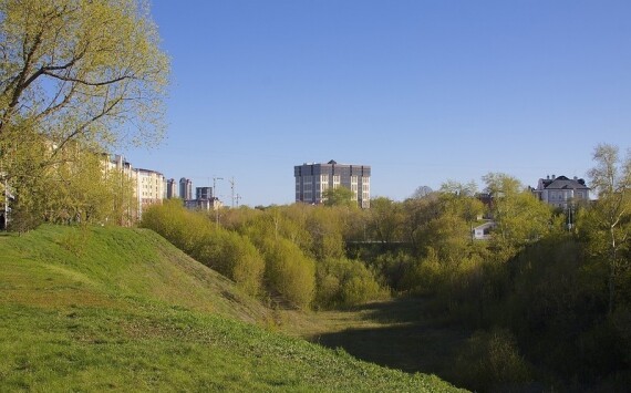 В Тюмени запустят новую стратегию озеленения города