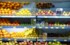 МАГНИТ будет продавать сирийские фрукты и овощи