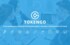 Возможности блокчейн-платформы TokenGO