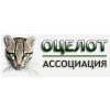 Оцелот