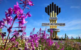 «Тюменнефтегаз» на 8% увеличил запасы Русского месторождения по российской классификации