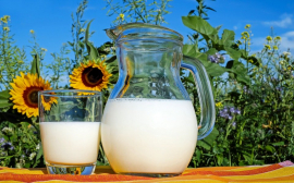 Тюменские хозяйки предпочитают заказывать молочную продукцию на дом