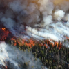 Страховые компании Сбера урегулируют убытки от сибирских пожаров в упрощённом порядке