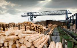 Торгово-промышленная палата заявила об экспортном потенциале тюменской лесопереработки