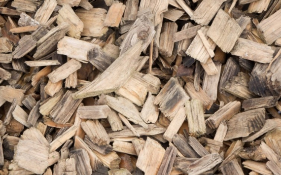 В Тюменской области появилась лесная биржа по переработке древесины
